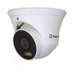 IP видеокамера уличная купольная Tantos TSi-Ee50FPN
