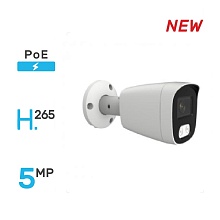 IP видеокамера Sowa K534-16P IP видеокамера Sowa K534-16P