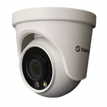 Купольная видеокамера Tantos TSc-E2HDfN